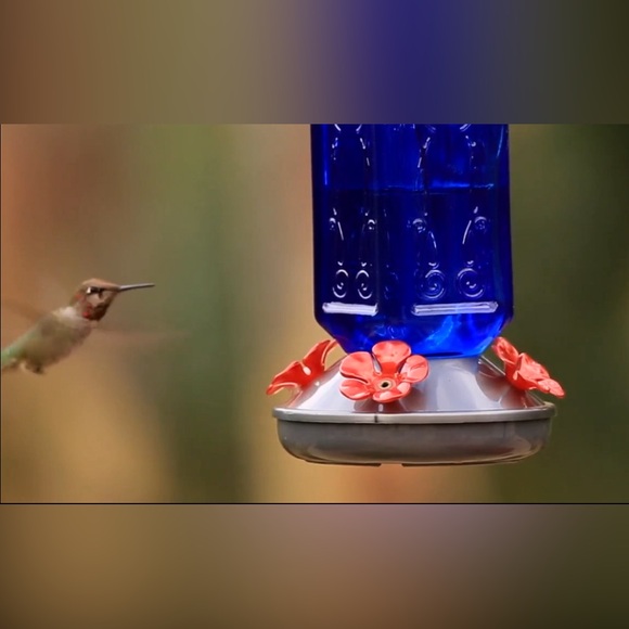 Blue hummingbird feeder new - Picture 3 of 4